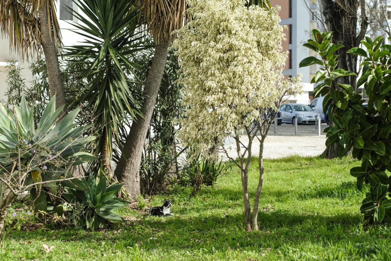 Olive Grove Apartment By Trip2Portugal Лиссабон Экстерьер фото